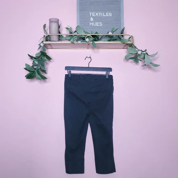 Anthropologie Cropped Skinny Pedal Pusher Pants - Picture 11 of 11